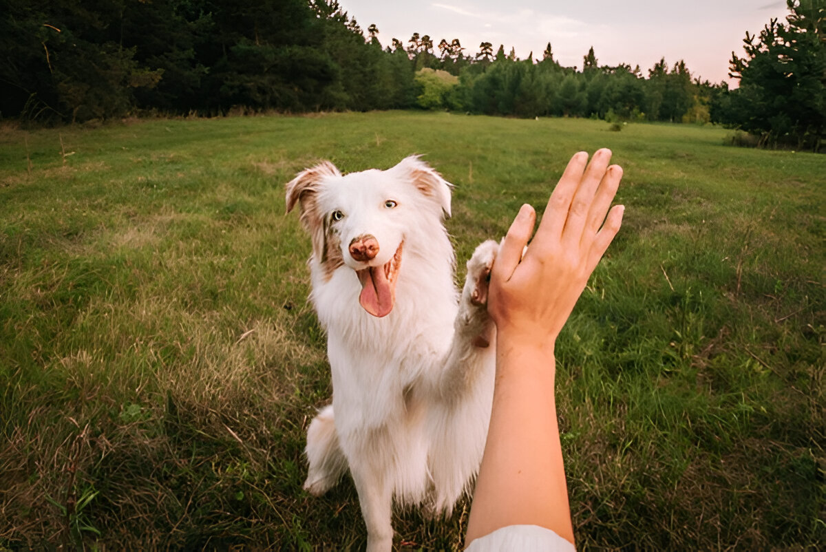 https://blog.dostumpati.com/wp-content/uploads/2025/03/egitim.jpg