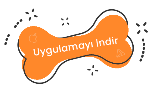 https://blog.dostumpati.com/wp-content/uploads/2025/06/uygulamayi_indir_buton_kemik_02.png